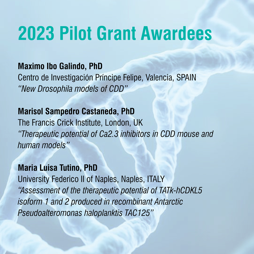 2023 Pilot Grant Awardees